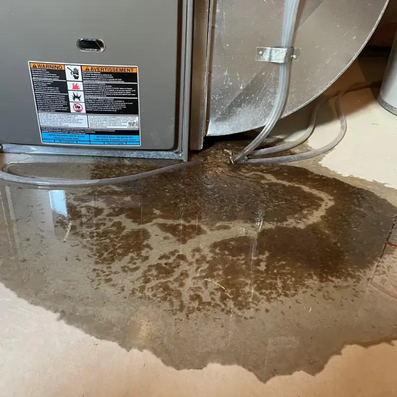 Appliance Leak Cleanup in Fort Walton Beach, FL